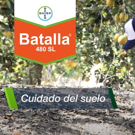 Spot Para mayor rendimiento y mayores ganancias con tus cítricos David usa BATALLA® | Agro Bayer Perú